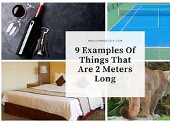 Image result for Objects That Are 2 Meters Long