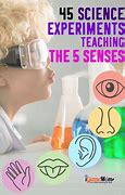 Image result for Easy 5 Senses Crafts for Kids