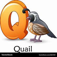 Image result for Animal Alphabet Letter Q