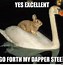 Image result for Super Funny Bunny Memes