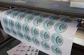 Image result for Roland Print and Cut Decals