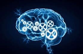 Image result for Cognitibe Psychology in Education