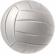 Image result for Volleyball Net and Ball