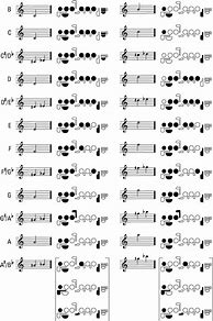 Image result for Flute Note Fingerings