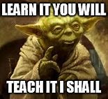 Image result for Yoda Learn Meme