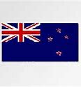 Image result for 100 Flags