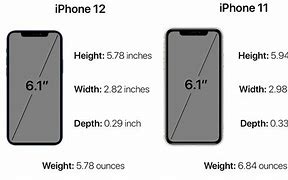 Image result for iPhone 11 Size Dimensions