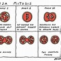 Image result for Pizza Comic Strip