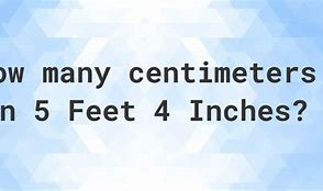 Image result for 5 Feet 4 Inches