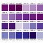 Image result for Champagne Color Swatches