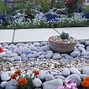 Image result for Decorative Stones and Pebbles