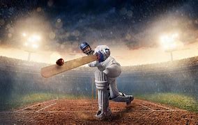Image result for Cricket Stock Photography