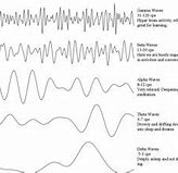 Image result for Trance Brain Waves