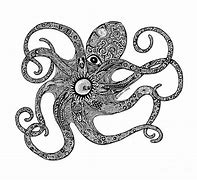 Image result for Black and White Drawings of Octopus