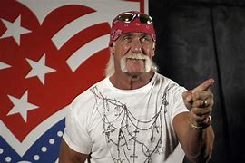 Image result for Hulk Hogan USA