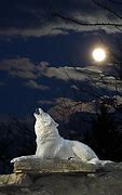 Image result for Wolf Howling Aesthetic