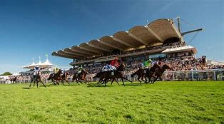 Image result for Goodwood Horse Racing Lennox Stand