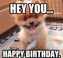 Image result for Funny Animal Birthday Quotes