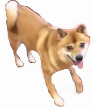 Image result for Dancing Doge Meme