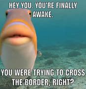 Image result for Fish Drowning Meme