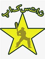 Image result for Easy Dpz Cricket Logo