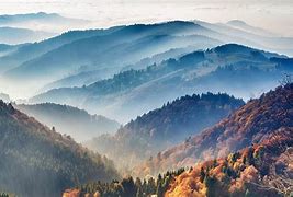 Image result for Black Forest Baden Germany