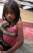 Image result for Girl with Pet Sloth