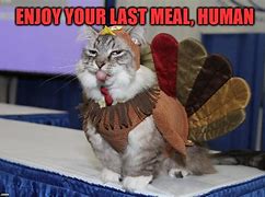 Image result for Hairless Cat Turkey Meme