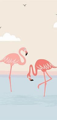 Image result for Flamingo Wallpaper for Phones