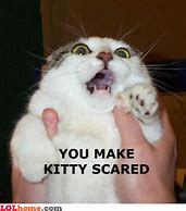 Image result for Kitty Cat Scared Meme