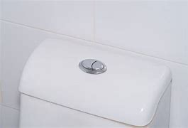 Image result for dual flushing toilets buttons