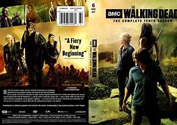 Image result for Walking Dead Season 10 DVD