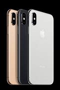 Image result for iphone xs max color