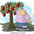 Image result for Newton Apple Doodle