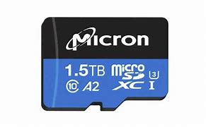 Image result for Terabyte microSD Card