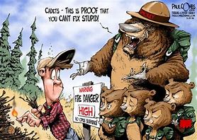 Image result for Funny Wildland Firefighters