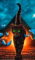 Image result for Beautiful Cat Art Wallpapers