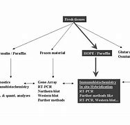 Image result for Tissue Processor Histology Rehydrate