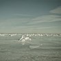 Image result for Chicago Beach Winter