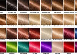 Image result for Hair Color Chart