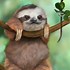 Image result for Sloth Animal Backgrounds