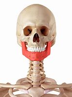 Image result for Jawbone Face