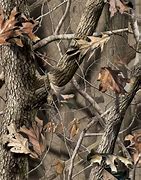 Image result for Realtree Hardwoods Camo