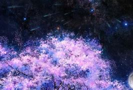 Image result for Cherry Blossom Galaxy