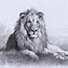 Image result for African Animal Drawings