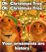 Image result for Christmas Music Yelling at Cat Meme