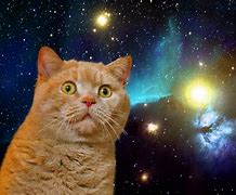 Image result for iPad Wallpaper Space Cat