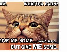 Image result for Sub Thanks for the Canned Meat Meme