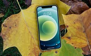 Image result for How Big Is Iphon 12