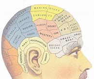 Image result for Phrenology Map